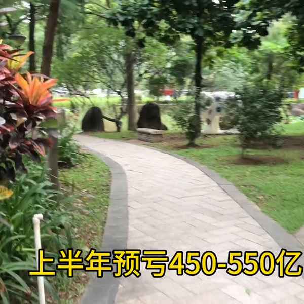 文哥说财经—文峰说财经