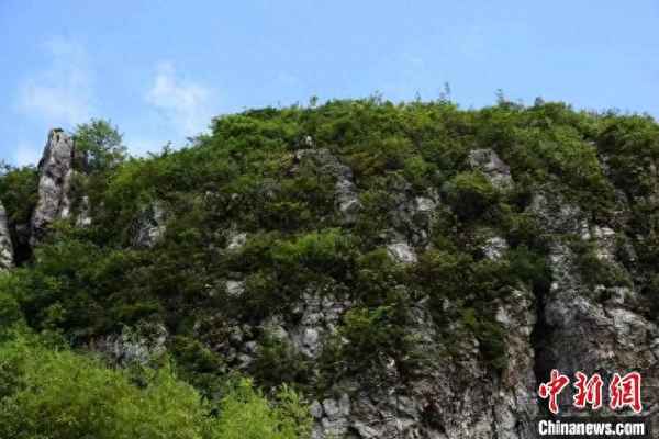 南山在湖南的哪個地方;南山是湖南嗎