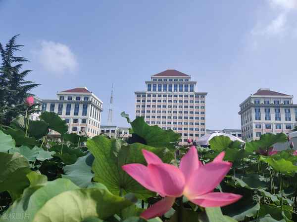 中央财经大学国际学院、中央财经大学国际学院宿舍