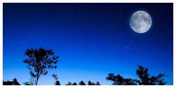 移舟泊烟渚的下一句(移舟泊烟渚的下一句是什么抒发了作者什么的)