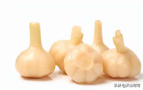 腌制大蒜的正確方法、腌制大蒜的正確方法視頻大全