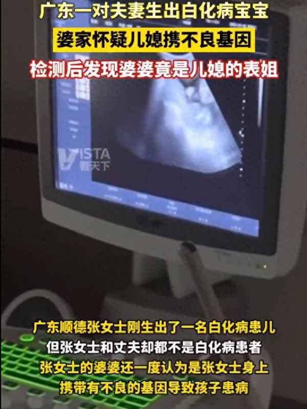 家人比喻成動物的作文400字_爸爸比作一種動物作文