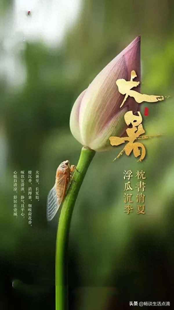 大暑的財運諺語有哪些(大暑的諺語順口溜大全)