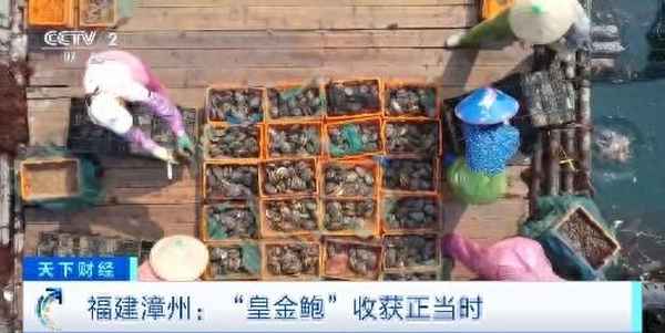 财经福建-福建财经新闻