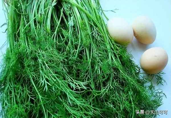 如何制作茴香豬肉餃子;怎樣做茴香豬肉餡餃子