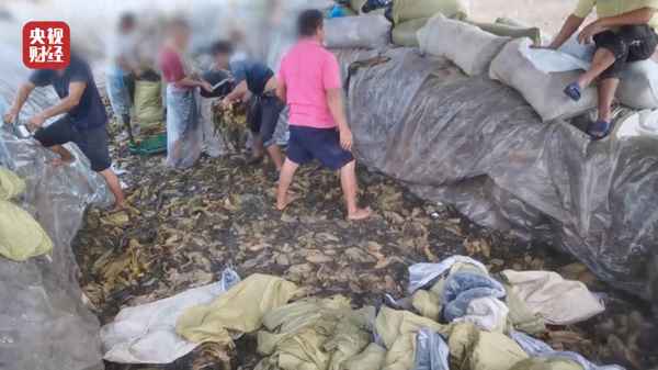 肯德基315事件是什么意思—肯德基315事件完整版