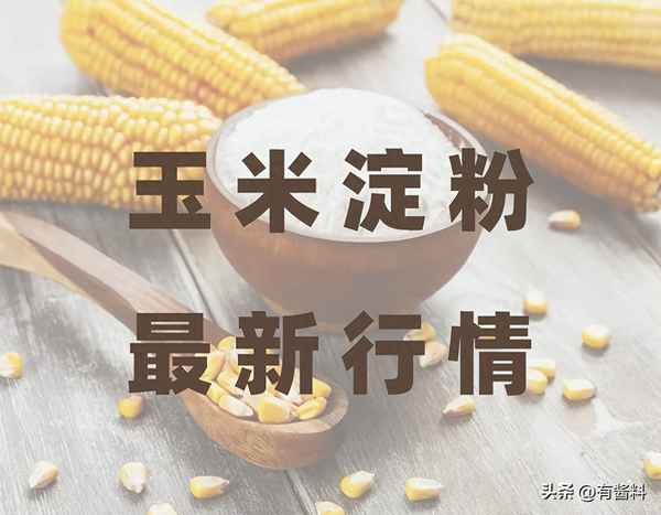 玉米淀粉价格行情今日报价;玉米淀粉现货价格最新行情