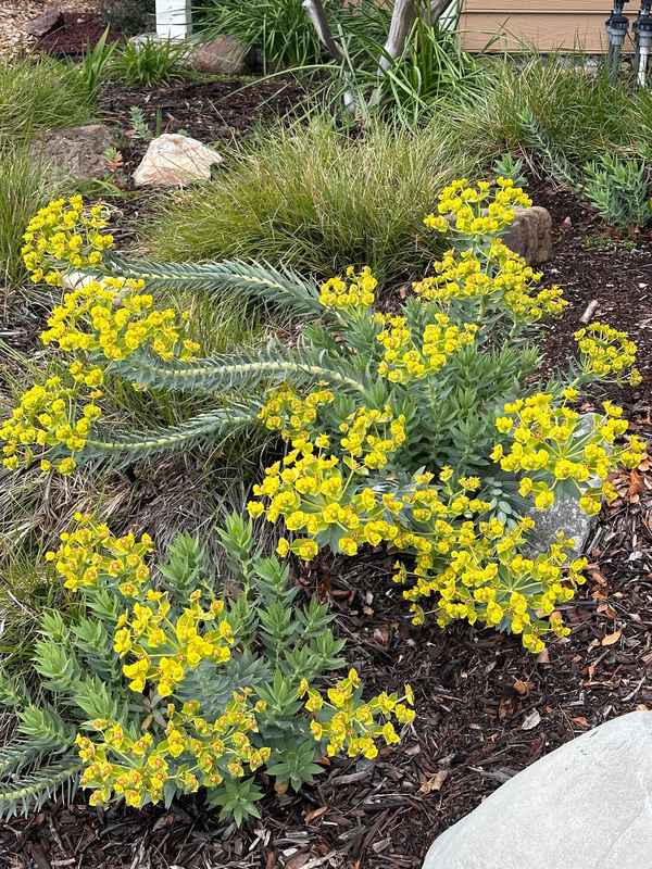 好美刊财经、好美记财经诈骗后续