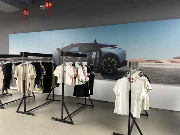 高合汽車,高合汽車跑車