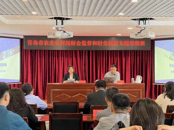 山東財經會計_山東財經會計專業在哪個校區