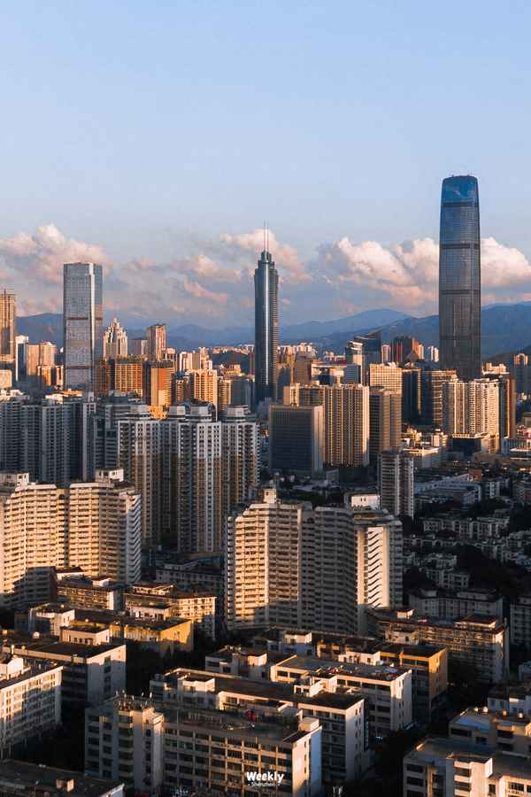 深圳电视台财经频道;深圳电视台财经频道总监