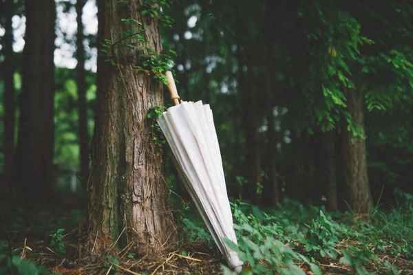 相看两不厌是什么诗-相看两不厌一句是什么