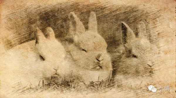 新文化运动发起人;新文化运动发起人和代表