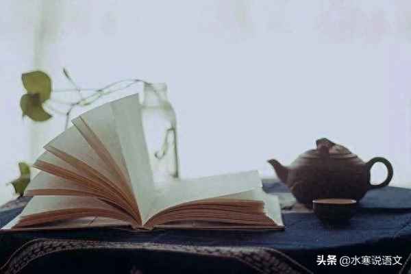 南宋志南和尚绝句古诗和意思;南宋志南和尚的《绝句》