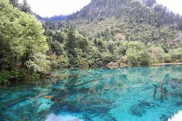 九寨沟作文300字(推荐一个好地方九寨沟作文300字)