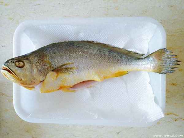 清蒸黃花魚(yú)怎么做最好吃視頻(清蒸黃花魚(yú)怎么做最好吃視頻教學(xué))