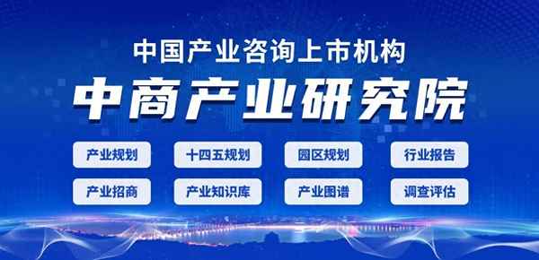 市场数据分析报告,市场数据分析报告撰写