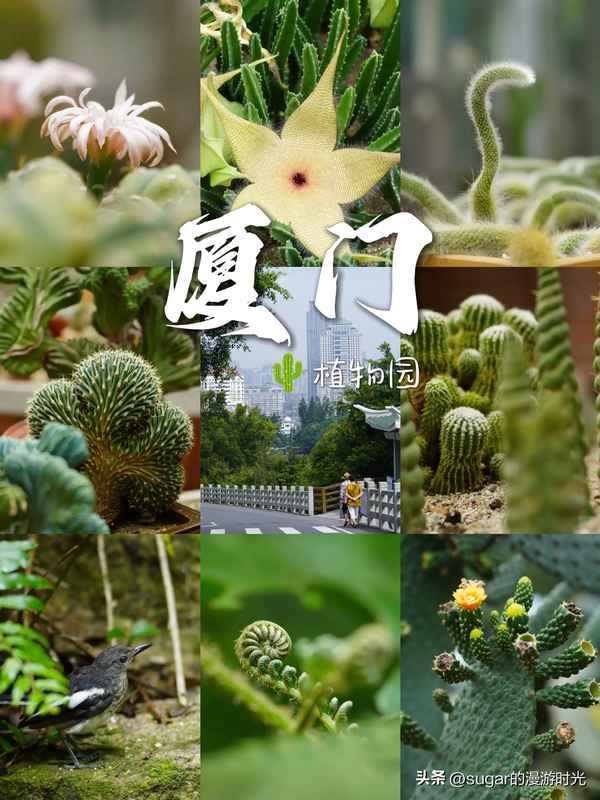 廈門海灣公園門票多少錢-廈門海灣公園游玩攻略
