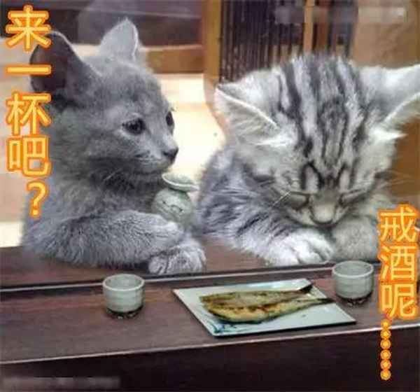 排毒健康—排毒健康夢想接力奇跡繼續