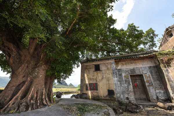 农村大门口屏风墙—农村大门口屏风墙图片大全