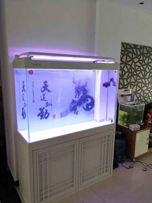 死魚(yú)應該從水里撈出呢_有死魚(yú)如何過(guò)水