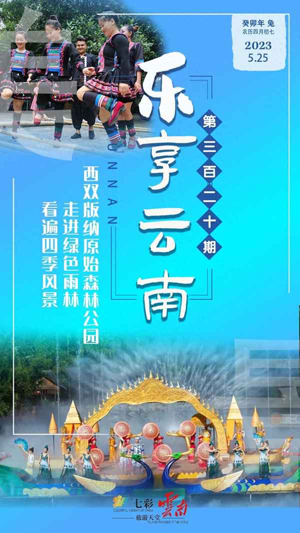 西雙版納森林公園八大奇觀;西雙版納森林公園門票價格