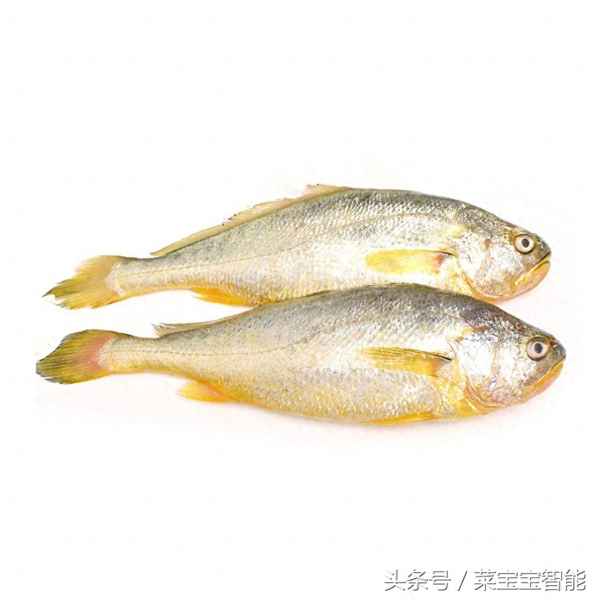 四種人不宜吃黃花魚(最干凈的三種魚)