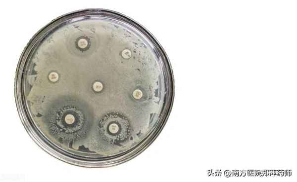 阿奇霉素耐藥是什么意思;阿奇霉素耐藥性多久會消失