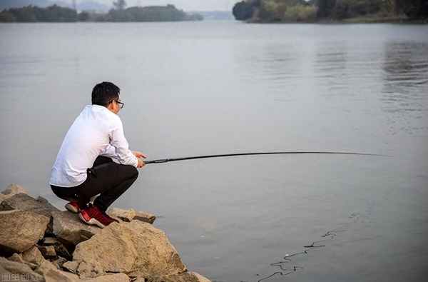 清凉油对鱼起什么作用-鱼怕清凉油吗