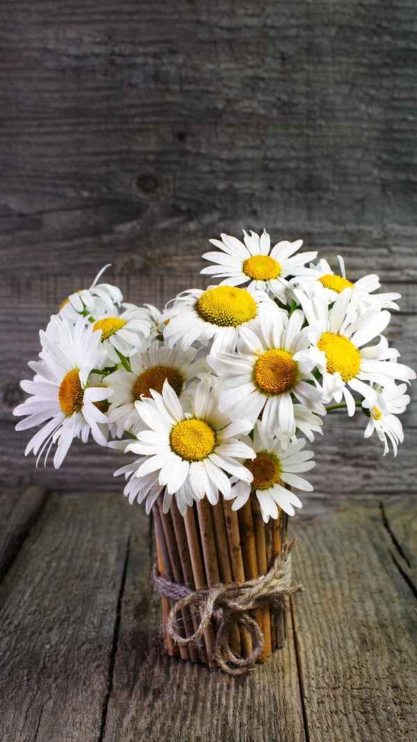 苦其心志 劳其筋骨 饿其体肤翻译(必先苦其心志劳其筋骨饿其体肤翻译)