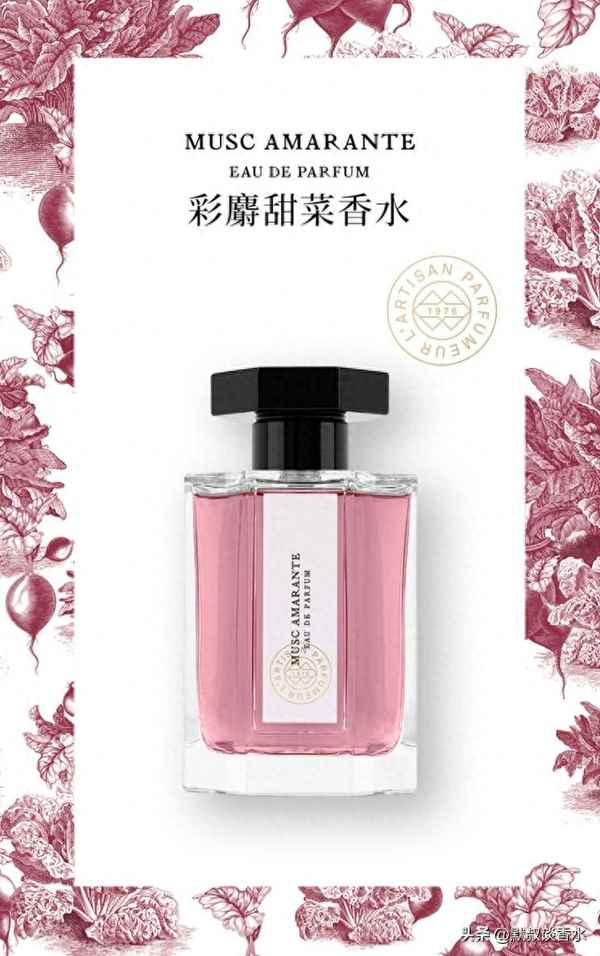 新鮮甜菜的家常做法,珠三角全真七子