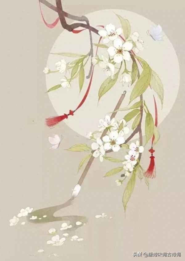 人初静月正明纱窗外玉梅斜映_人初静月正明纱窗外玉梅斜映这首诗表达了什么情感