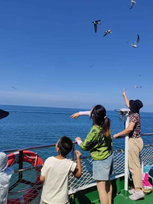 長島一日游最佳方案(長島一日游最佳方案是什么)
