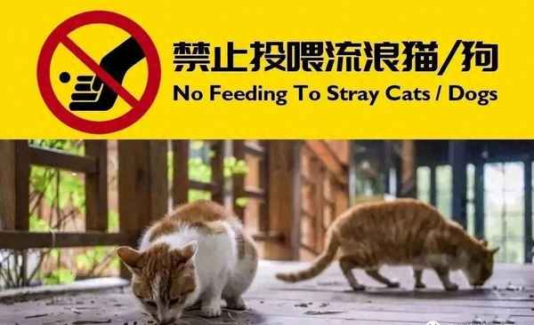 禁止楼道内养宠物的通知—物业文明养犬温馨提示简短