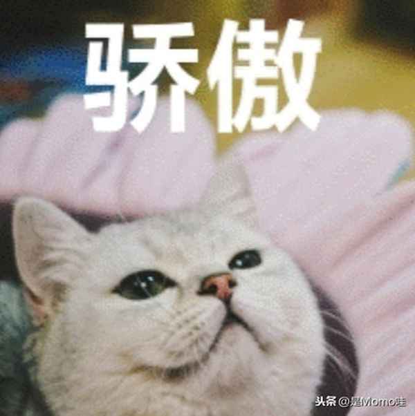 斷背山最經典一句臺詞、斷背山最經典一句臺詞大全