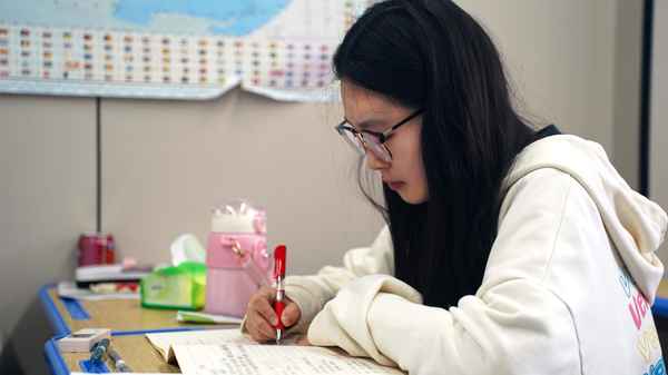 武漢樂學教育;武漢樂學教育一年學費多少