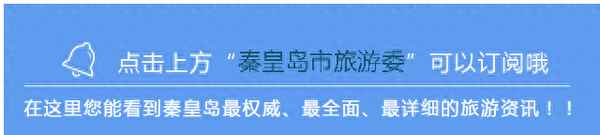樂島60歲老人有優惠,樂島60歲老人有優惠活動嗎