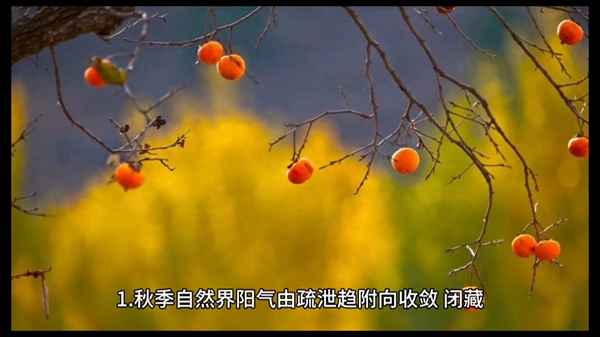 秋季養生小知識100個;中老年養生知識
