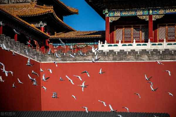 央視愛國絕美文案,愛國