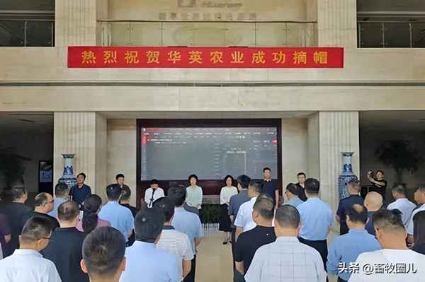 华英农业股票历史最高价格-华英农业股票历史行情