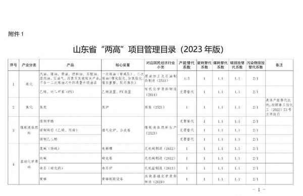 山東省兩高項目管理目錄2023—山東省人民政府辦公廳關于加強兩高項目管理的通知