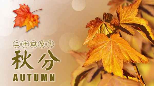 23号天气预报查询(准时天气预报)