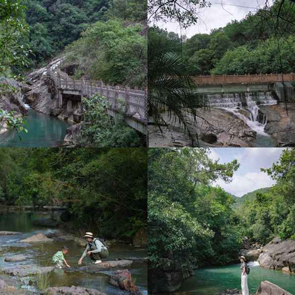 森林公園票價多少錢—森林公園免費