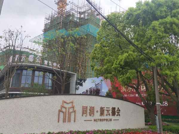 张江房子一平米多少钱(张江房价走势图)