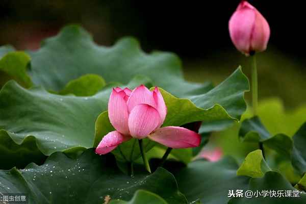 一件讓我感動的事作文400字、一件讓我感動的事作文400字我生病了媽媽照顧我