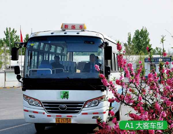b1駕駛證的申請條件-b1駕駛證的申請條件是什么