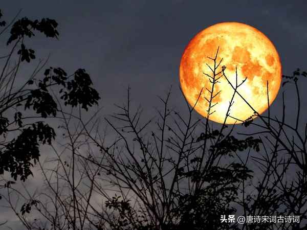月光下的美景句子、月夜美景句子簡短