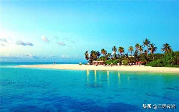 惟愿君心似我心下一句是什么—不负卿心不负君,只愿君心似我心