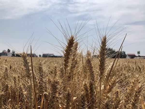 现代财经-现代财经审稿周期