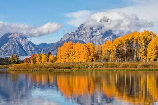 秋季致辞开场金句,十月秋季致辞开场金句